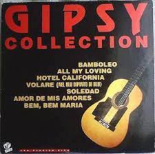 Gipsy collection usato  Milano