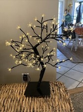 Cherry blossom tree for sale  Ashland City