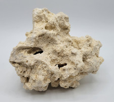 Natural white coral for sale  Madison