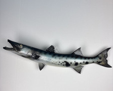 Barracuda fish wall for sale  Cedartown