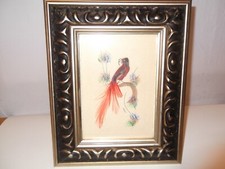 Vintage bird feather for sale  Kent