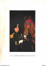 Animaux chevaux saumur d'occasion  Fruges