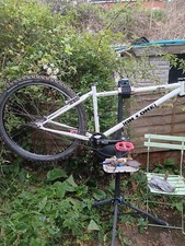 One inbred single for sale  READING