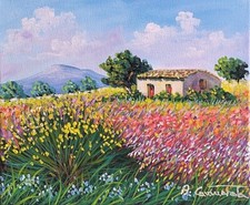 Offerta anziche 100 usato  Augusta