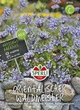 Waldmeister rientalischer gebraucht kaufen  Aurich