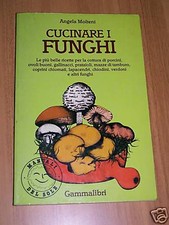 Angela molteni cucinare usato Angela molteni cucinare usato  Torino