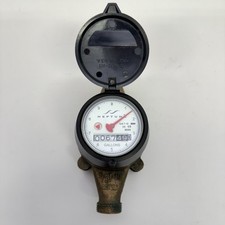 Neptune brass water for sale  Yelm