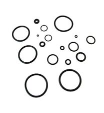 Conjunto de O-ring Reximex RP sistema PCP comprar usado  Enviando para Brazil