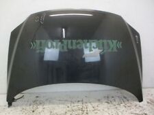 Motorhaube lc9z black gebraucht kaufen  Bad Nauheim