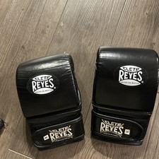 Cleto reyes boxing for sale  King of Prussia