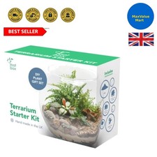 Unique large terrarium for sale  LONDON