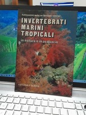 Invertebrati marini tropicali usato  Campolongo Tapogliano