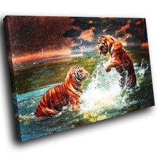 A102 orange tiger for sale  STRABANE