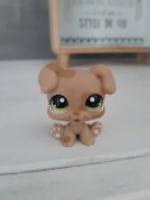 Littlest lps petshop d'occasion  Tonnay-Charente
