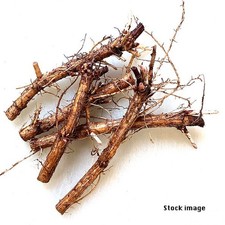 Cascade hop rhizomes for sale  Hastings
