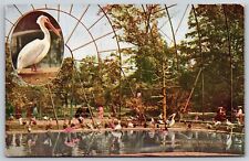 Cartão postal interior da gaiola voadora NY parque zoológico A30, usado comprar usado  Enviando para Brazil