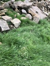 Sandstone drystone walling for sale  WHITBY