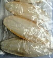 Cuttlefish mini bones for sale  SHOREHAM-BY-SEA