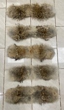Authentic coyote trim for sale  WOKING