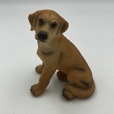Golden yellow labrador for sale  Hampton