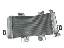 Radiatore liquido ammaccato usato  Italia