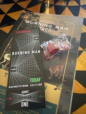 Burning man 2025 for sale  Tacoma