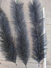 Posten gebrauchte filterbürst gebraucht kaufen  Perach