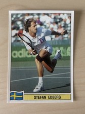 Panini tennis atp gebraucht kaufen  Markt Indersdorf