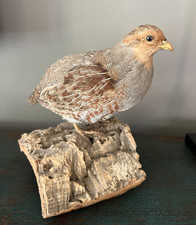 Vintage hungarian grey for sale  Wadena