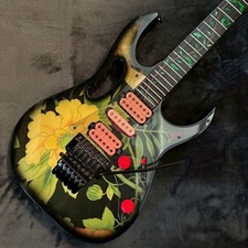 Ibanez JEM77 FP Floral Steve Vai assinatura USADO 3,7kg, usado comprar usado  Enviando para Brazil