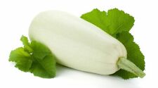 Semi zucchero bianco usato  Italia