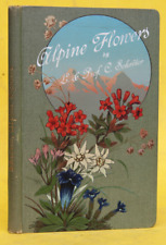 Usado, COLOURED VADE-MECUM TO THE ALPINE FLORA,ALPEN-FLORA,25 FARBTAFELN,1903,RAR comprar usado  Enviando para Brazil