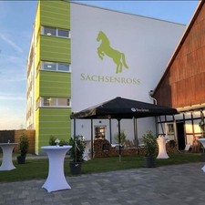 sachsenross gebraucht kaufen sachsenross gebraucht kaufen Much