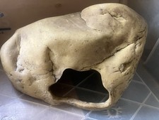 Exo terra gecko for sale  WINDSOR
