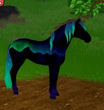 Northern lights andalusian for sale  Pelzer