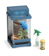 lizard terrarium for sale  Fort Worth
