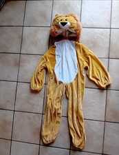 Karnevalskostüm kinder . gebraucht kaufen  Troisdorf