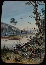 Antique hand coloured for sale  HAYLE