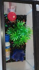Small fish tank for sale  Wylie