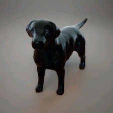 Beswick black labrador for sale  SKIPTON