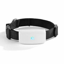 Tk911 mini localizzatore usato  Villaricca