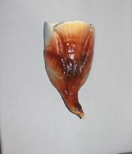 Rare czech diving for sale  Altoona