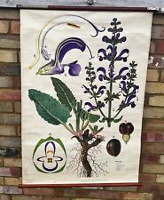 Beautiful vintage botanical for sale  UK