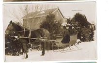 horse sleigh for sale  Saint Louis