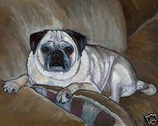 Fawn pug couch for sale  Westminster