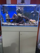 3ft marine aquarium for sale  LINCOLN