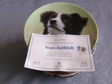 Border collie plates for sale  DUDLEY