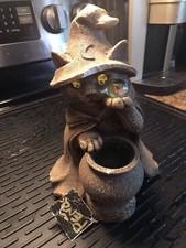 windstone cat for sale windstone cat for sale Colorado Springs