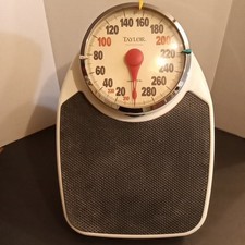 Vintage taylor professional for sale  Saranac