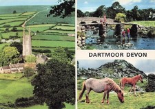 Royaume uni dartmoor d'occasion  France